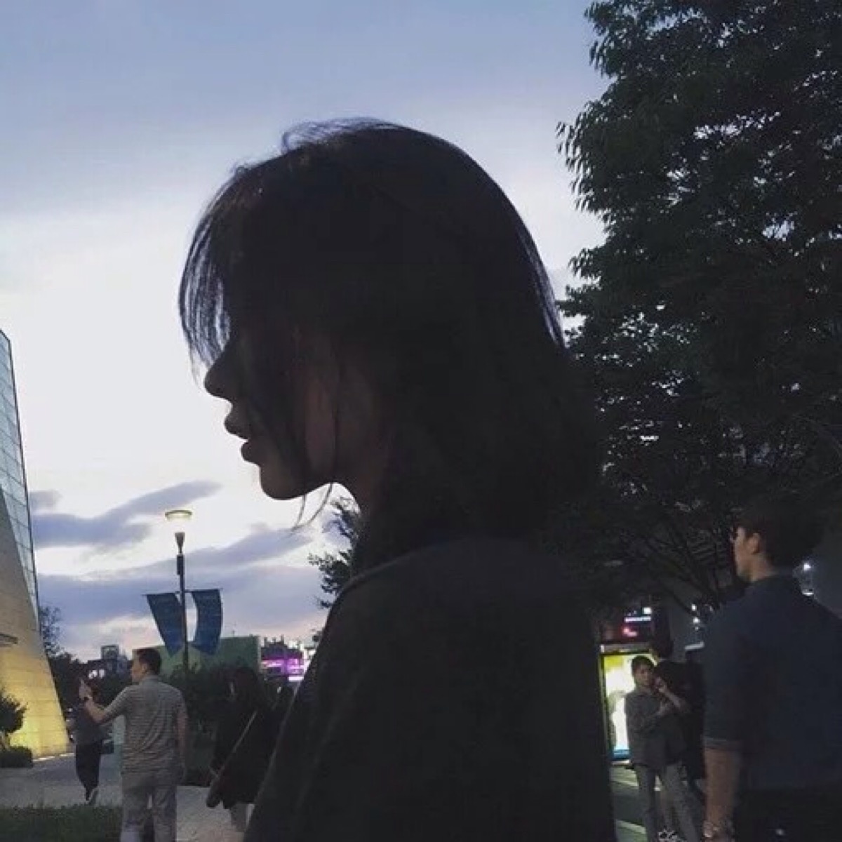 东京（明治维新后故事主要发生地） - 影视解说合集在线观看 - 手机观影